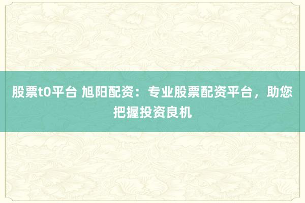 股票t0平台 旭阳配资：专业股票配资平台，助您把握投资良机