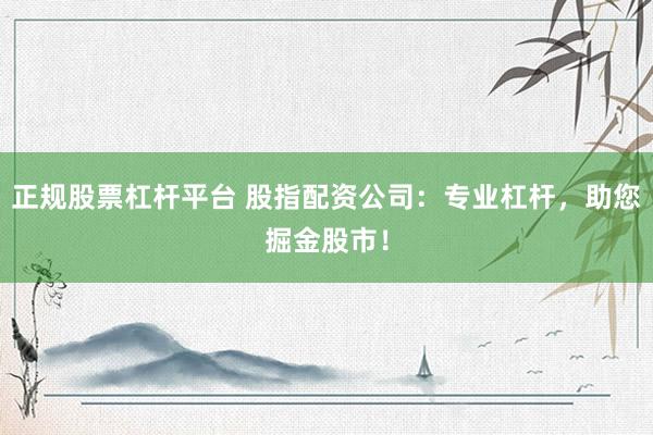 正规股票杠杆平台 股指配资公司：专业杠杆，助您掘金股市！