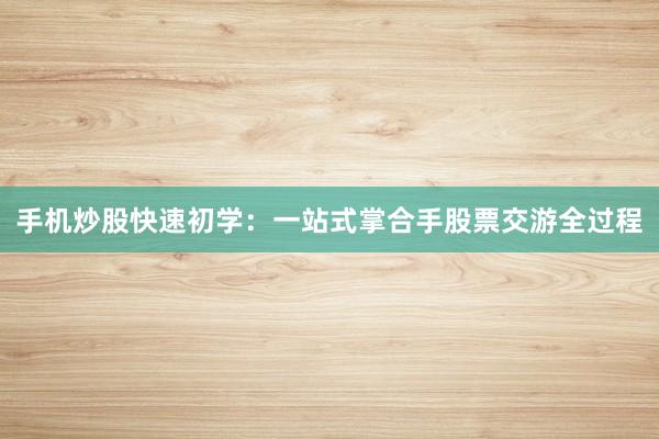 手机炒股快速初学：一站式掌合手股票交游全过程