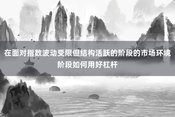 在面对指数波动受限但结构活跃的阶段的市场环境阶段如何用好杠杆
