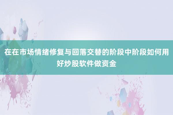 在在市场情绪修复与回落交替的阶段中阶段如何用好炒股软件做资金