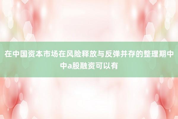 在中国资本市场在风险释放与反弹并存的整理期中中a股融资可以有