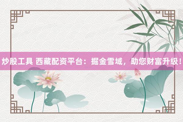 炒股工具 西藏配资平台：掘金雪域，助您财富升级！