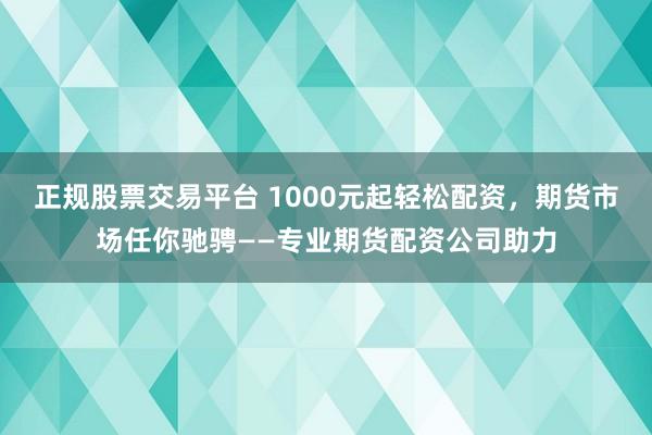 正规股票交易平台 1000元起轻松配资，期货市场任你驰骋——专业期货配资公司助力